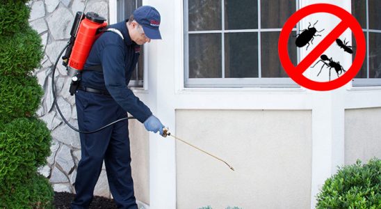 Gökdere Bit İlaçlama böcek ilaçlama ve haşere kontrolü — ilaclama-tr.com